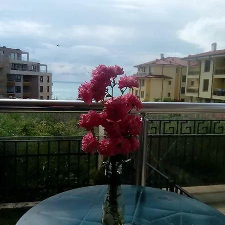Apartment 39 Улица „Братя Господинови“ Жилая Сграда 
